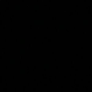 Meet your Posher, Emmett